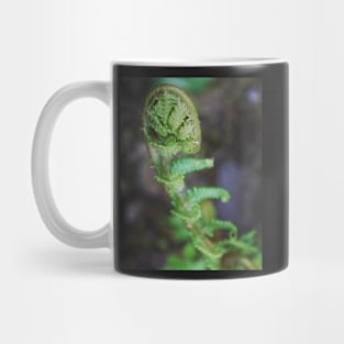 Fern fronds Mug